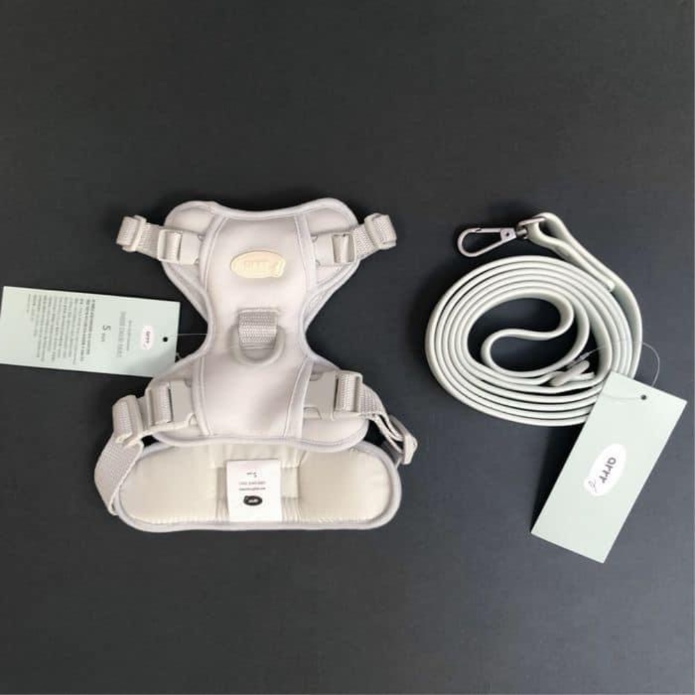 Harnesses and collar Size M color Silver